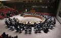 Security Council Press Statement on Mali