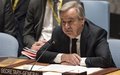 THE SECRETARY-GENERAL -- REMARKS TO THE SECURITY COUNCIL ON MALI New York, 29 March 2019 [Bilingual, as delivered]