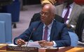 Security Council Briefing on Mali Statement of El-Ghassim Wane,  Special Representative of the Secretary-General for Mali 12 April 2023
