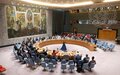 Security Council ends MINUSMA mandate, adopts withdrawal resolution